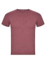 Heren T-shirt FOX Roly CA6660 heather garnet red